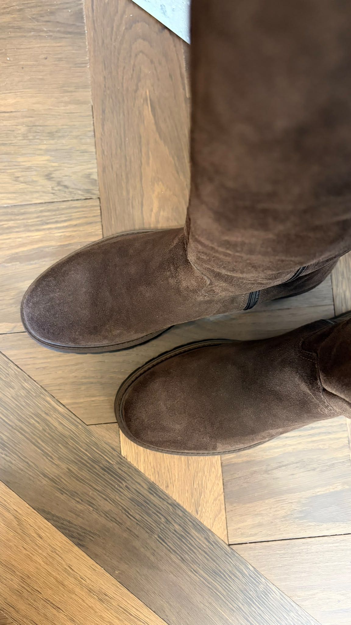 STIVALE SUEDE ALTO MORO